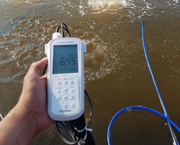 QUY TRÌNH KIỂM ĐỊNH PHƯƠNG TIỆN ĐO NỒNG ĐỘ ÔXY HÒA TAN ĐLVN 276: 2014 QUY TRÌNH KIỂM ĐỊNH PHƯƠNG TIỆN ĐO NỒNG ĐỘ ÔXY HÒA TAN ĐLVN 276: 2014